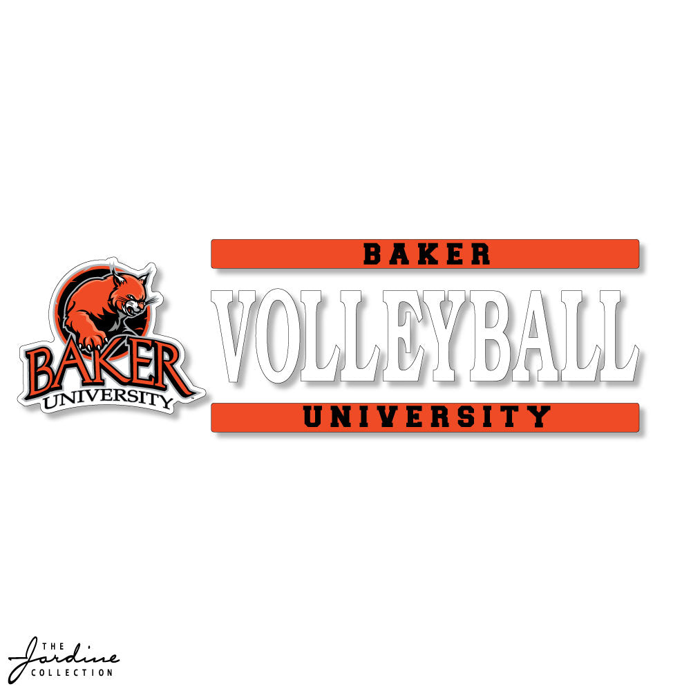 Volleyball Decal 2.0
