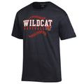 Baseball Champion Jersey Tee