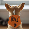Pet Bandana