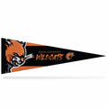 Baker University Wildcats 5"x15" Pennant