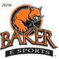 E Sports Decal